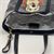 Pet Portrait Tote Bag Sadie side pocket